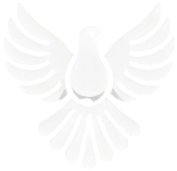 Dark Logo
